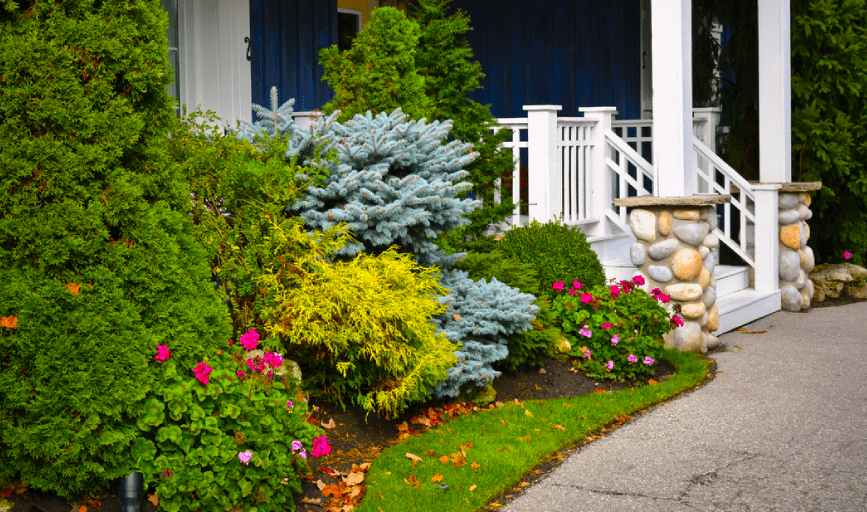 Landscaping